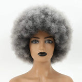 Fluffy Puff Wig
