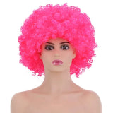 Afro Curly Wig