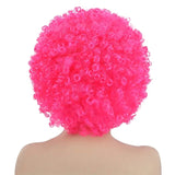 Afro Curly Wig