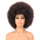 Fluffy Puff Wig
